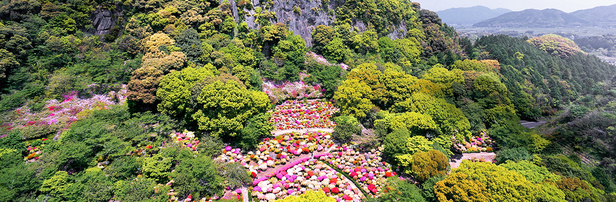 Flower spots in Kyushu