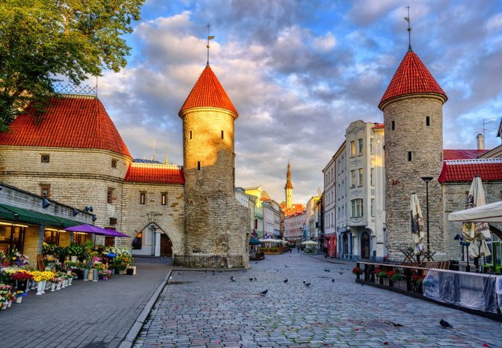Guided Tour of Tallinn and visit of Rocca al Mare Ethnographic Museum in Estonia 
