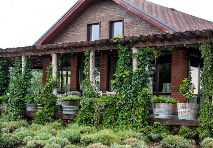 Wine tasting and lunch at Château Purcari winery 
