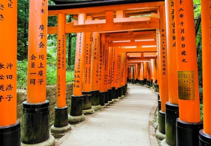 Half-day guided tour of Nara city and discovery of Fushimi Inari Shrine in Kyoto