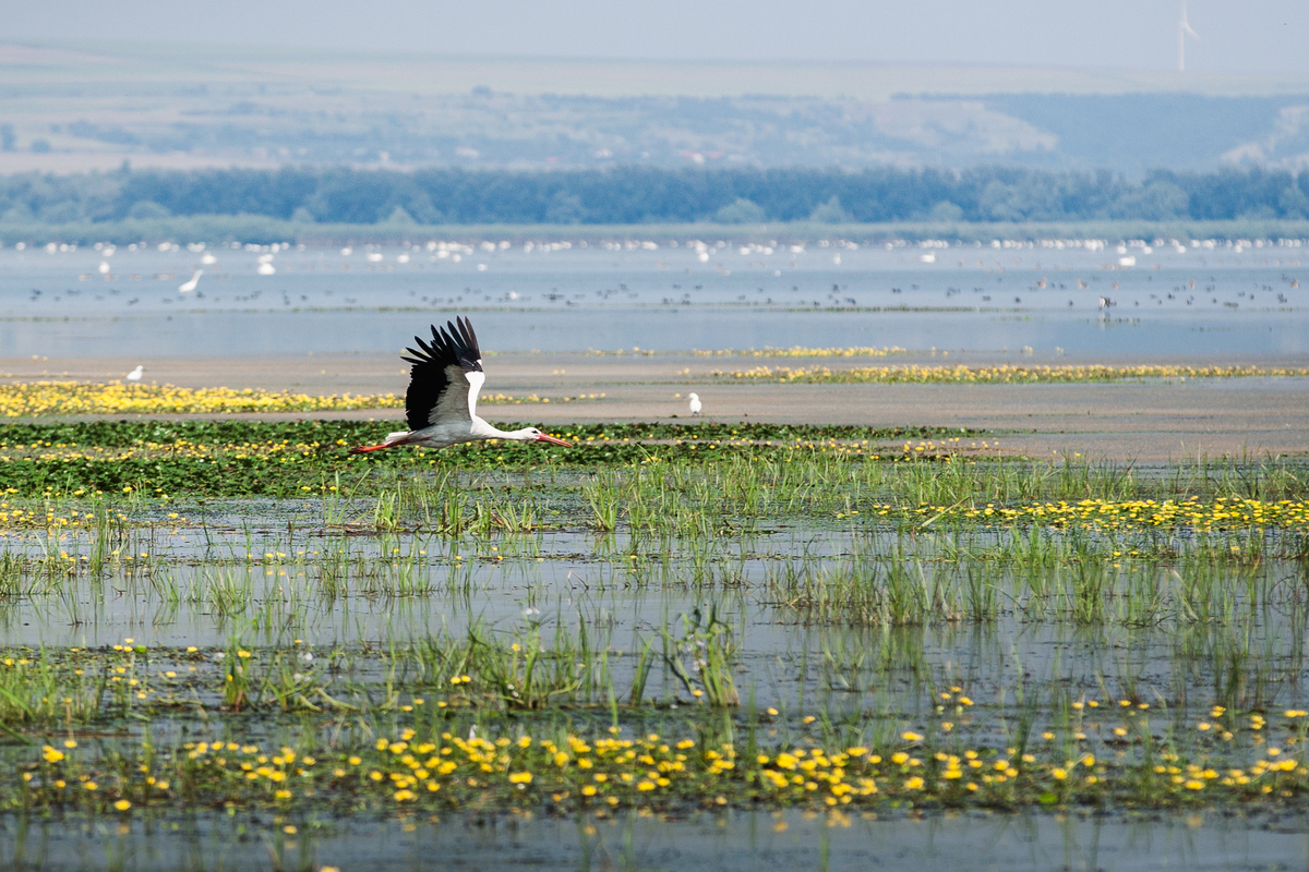 Moldova Nature Monuments and Reserves – Guided Tours and Seasonal C...