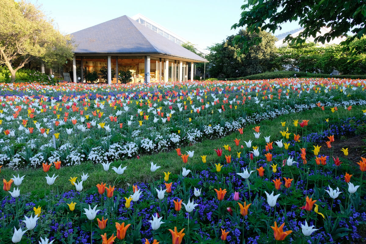 Kansai Flower Fields: Mount Yamato Katsuragi, Hamadera Park and mor...