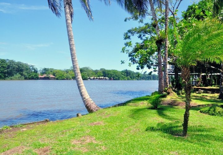 Guided tour in the picturesque village of Tortuguero