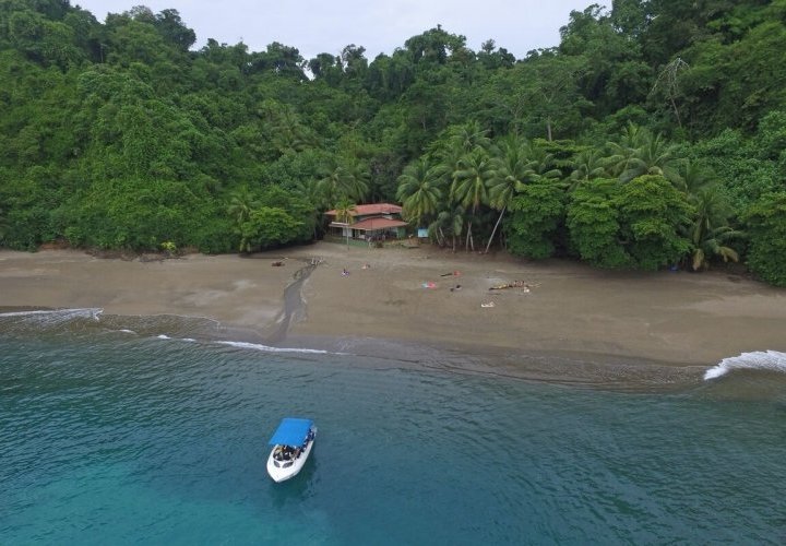 Boat tour to the spectacular Caño Island Biological Reserve with snorkelling