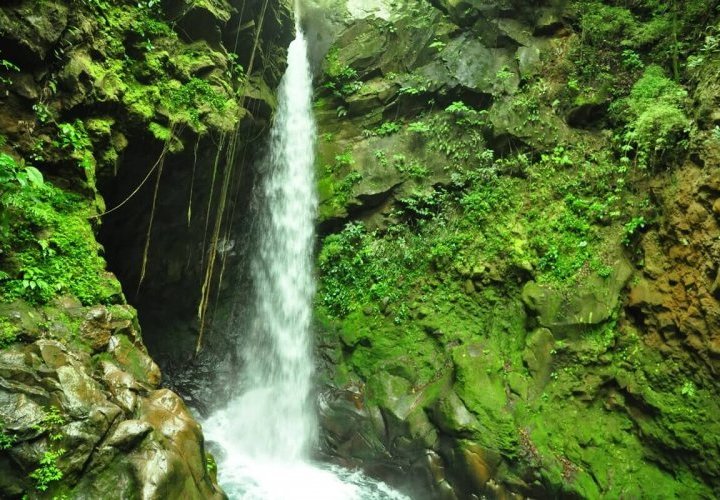 Hike in Rincón de la Vieja National Park and visit to the Oropendola Waterfall