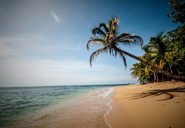 Visita al Centro de Rescate El Jaguar y tarde libre para para disfrutar de la playa en Puerto Viejo de Limón