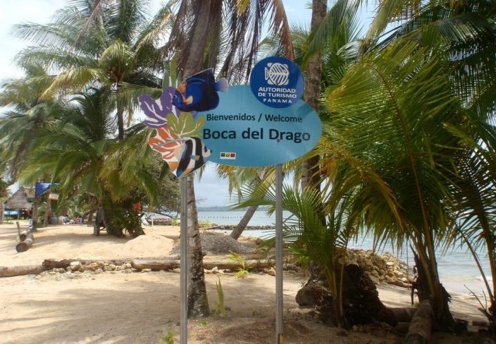 Bout tour to the Boca del Drago beach and Starfish beach