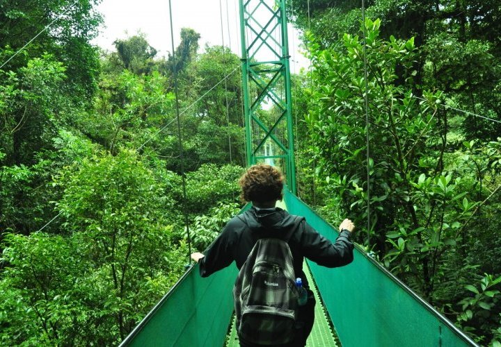 Hanging Bridges and Hummingbird Garden in Selvatura Park