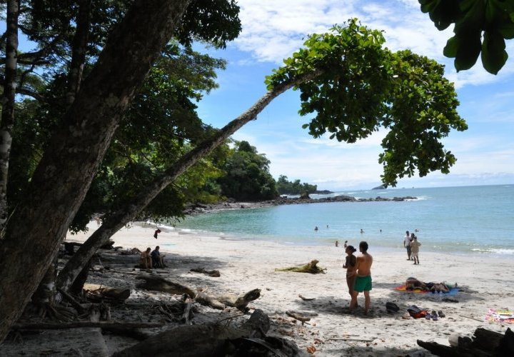 Travel to the warm coast of the Central Pacific reaching Manuel Antonio National Park