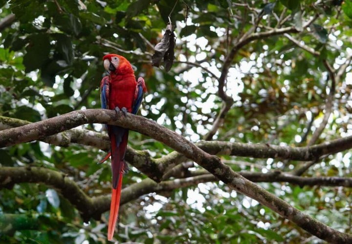 Walking in Manuel Antonio National Park - one of the most beautiful and most visited national parks of Costa Rica