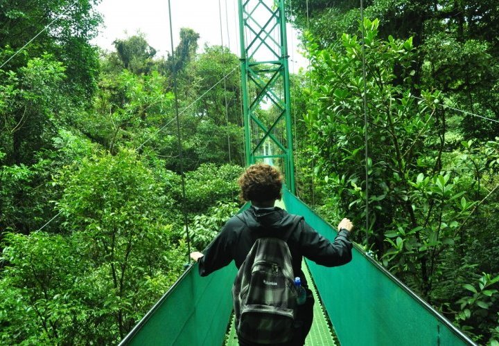 Descubrimiento de los puentes colgantes del Parque Selvatura y del Jardín de Colibríes