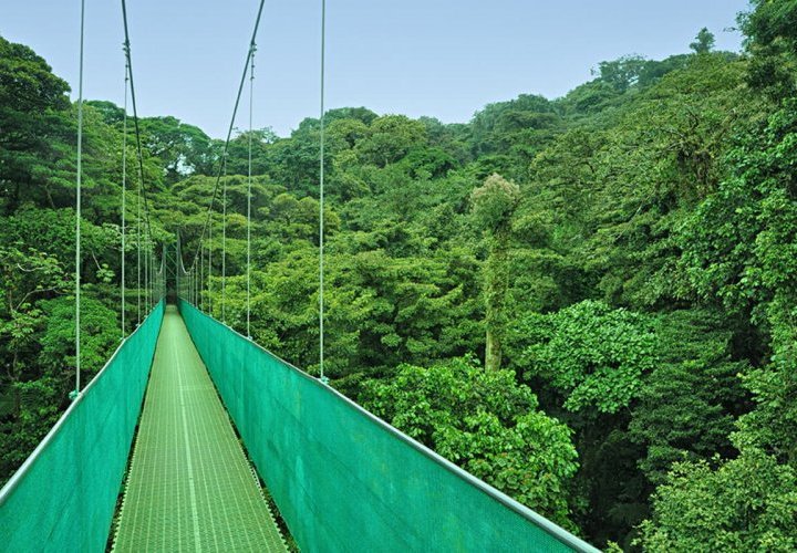 Puentes colgantes del Parque Selvatura y el Canopy Tour