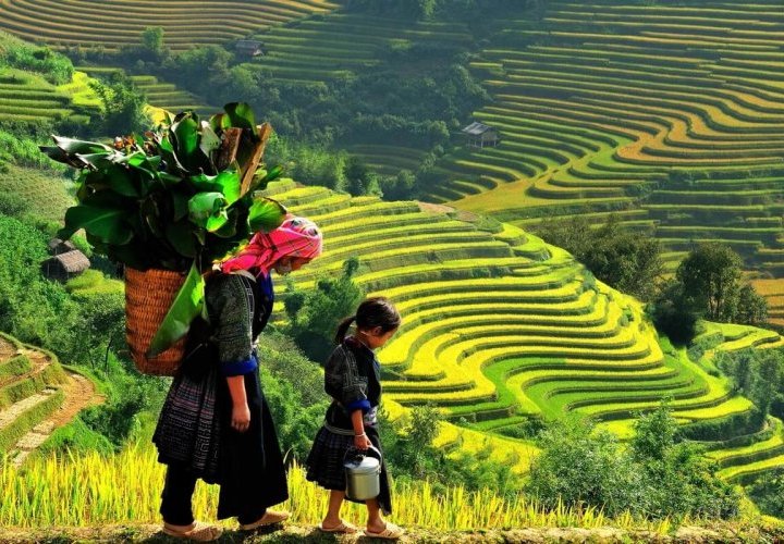 Descubrimiento del valle de Muong Hoa, famoso por su encantador paisaje natural