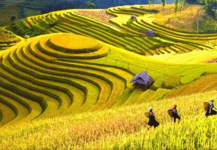 Discovery of the Muong Hoa Valley, popular for its enchanting natural scenery