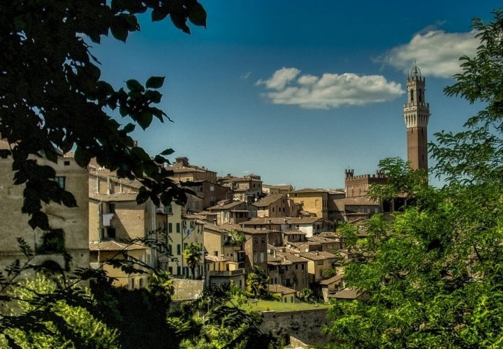 Discovery of the towns of Siena and San Gimignano