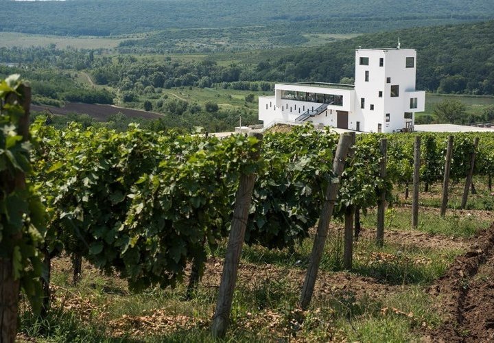 Découverte des caves à vins Château Cojusna (Migdal-P) et Poiana 