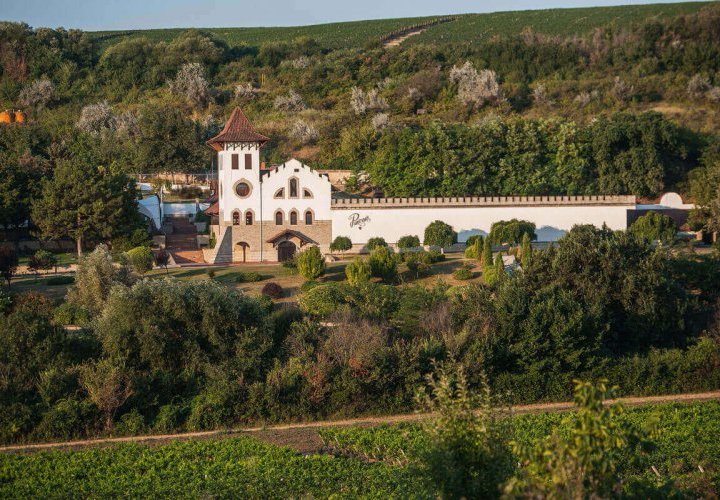 Découverte du vin légendaire “Negru de Purcari” à la cave à vin Château Purcari et du dessert local “baba neagra” à la cave à vin Castel Mimi