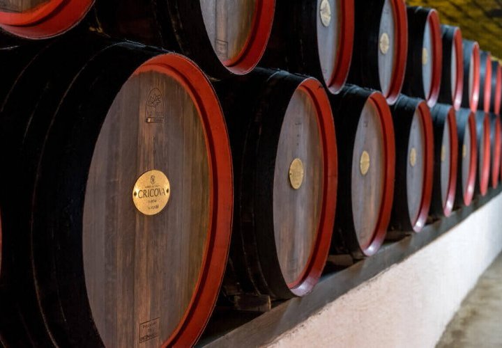 Cave à vin familiale Asconi et cave à vin Cricova - la perle de la vinification moldave