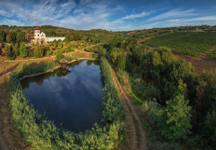 Visite dans la région du sud-est de la Moldavie et découverte des caves à vin Et Cetera et Chateau Purcari
