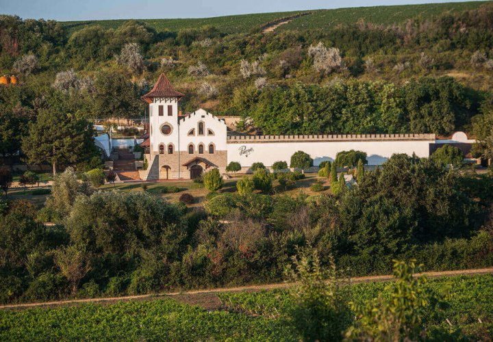 Visit in the south-east region of Moldova and discovery of Et Cetera and Château Purcari wineries  