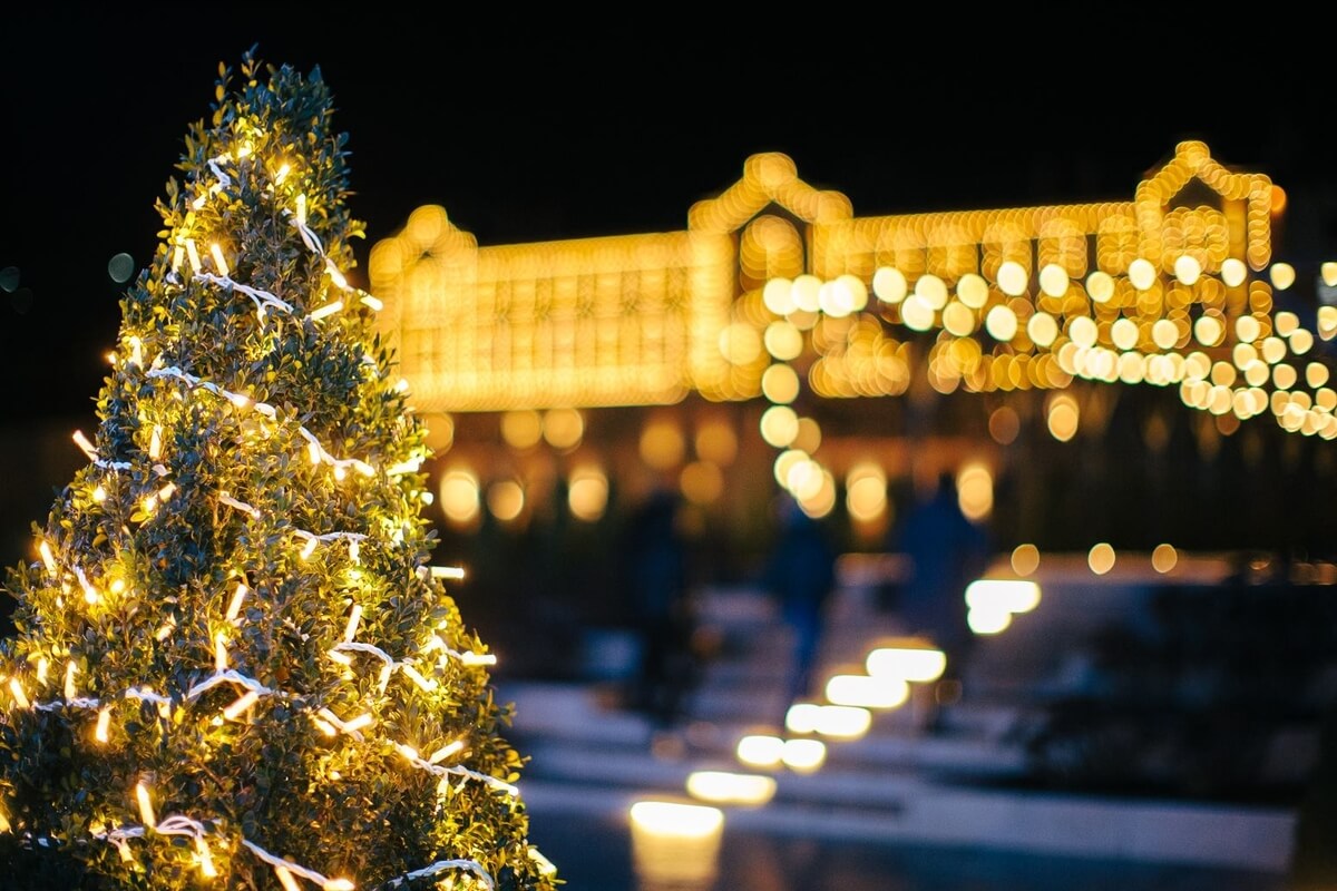 Winter holiday in Moldova: Christmas season December - January (6 d...