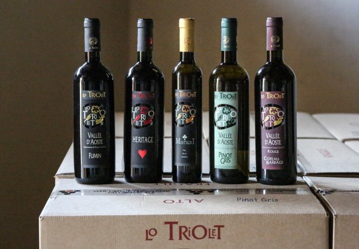 Lo Triolet winery