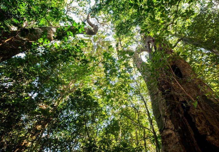 Traslado hacia Monteverde - una de las Siete Maravillas Naturales de Costa Rica