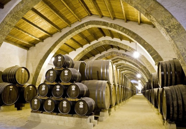 Visit of Agrigento and wine tasting and lunch at Florio Cellars  