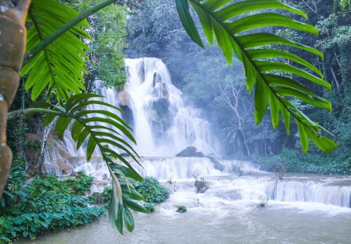 Visit to Kuang Si Waterfall and departure from Luang Prabang, Laos