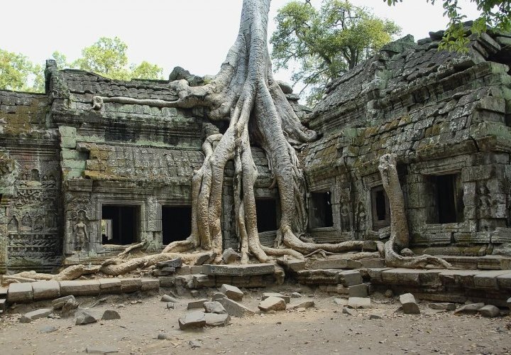 Temples of Angkor Archaeological Park: Ta Prohm, Bayon, Baphuon and Angkor Wat