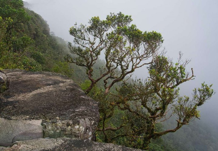 Descubrimiento del paisaje montañoso de bosques puros y cascadas en el monte Bokor
