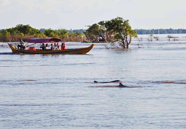 Paseo en bote por el río Mekong al norte de Kratie para observar los delfines del Irrawaddy, una de las principales maravillas de Camboya
