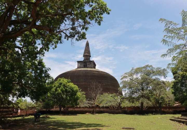Exploration of Polonnaruwa and afternoon jeep safari at Minneriya National Park