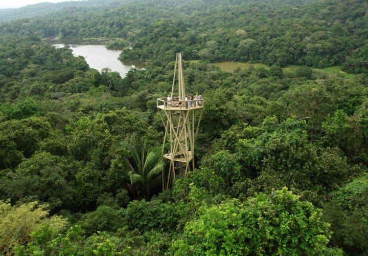 Visite du Centre de Découverte de la Forêt Tropicale de Panama au cœur de Gamboa