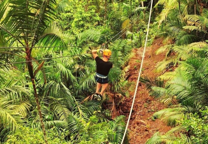 Boquete Zip Line Tour through the canopy of century-old cloud forests