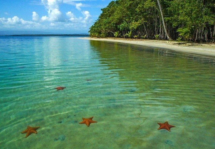 Exploration of Bastimentos Island National Marine Park in the Bocas del Toro Archipelago
