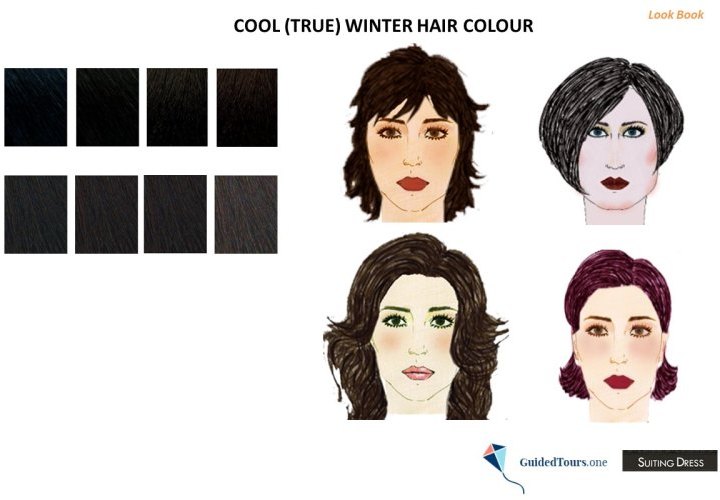 Cool (True) Winter Hair Colours 