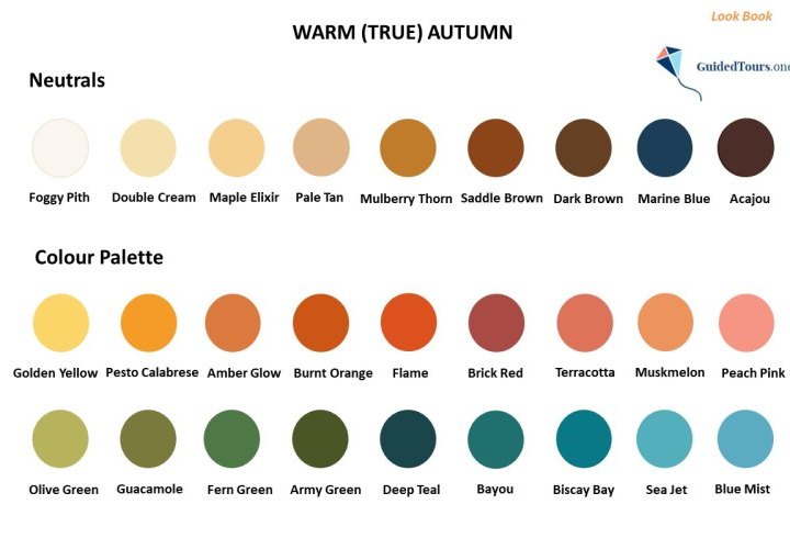 Warm (True) Autumn Colour Analysis (Colour Dimensions and Colour Palette)