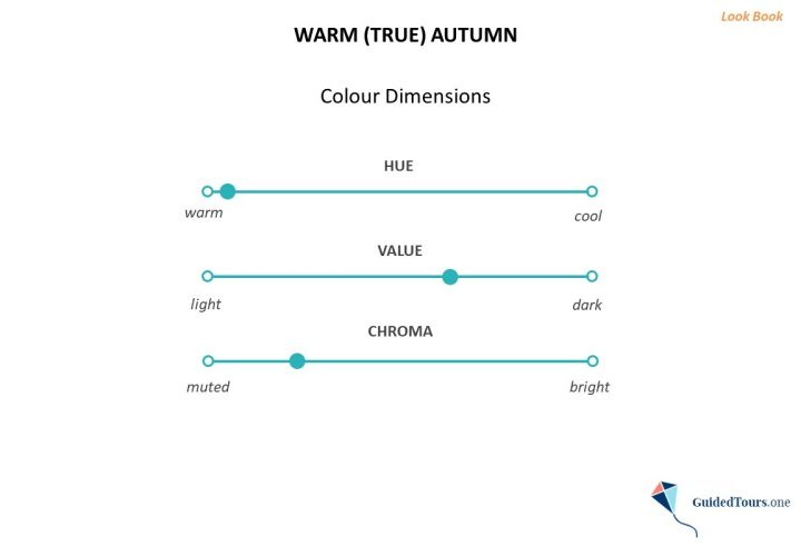 Warm (True) Autumn Colour Analysis (Colour Dimensions and Colour Palette)