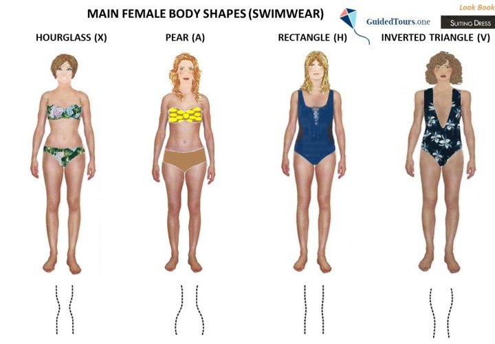 4. Where do swimsuits need extra room in your body?