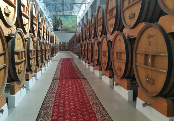 Cave à vin Castel Mimi - chef d'œuvre architectural dans le monde du vin