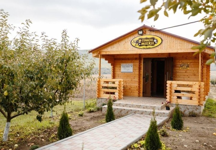 Honey tasting at the Honey Manor and wine tasting at Mircesti winery