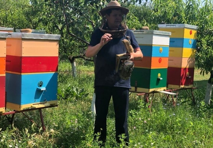 Honey tasting at the Honey Manor and wine tasting at Mircesti winery