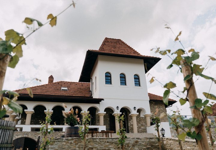 Honey tasting at the Honey Manor and wine tasting at Mircesti winery