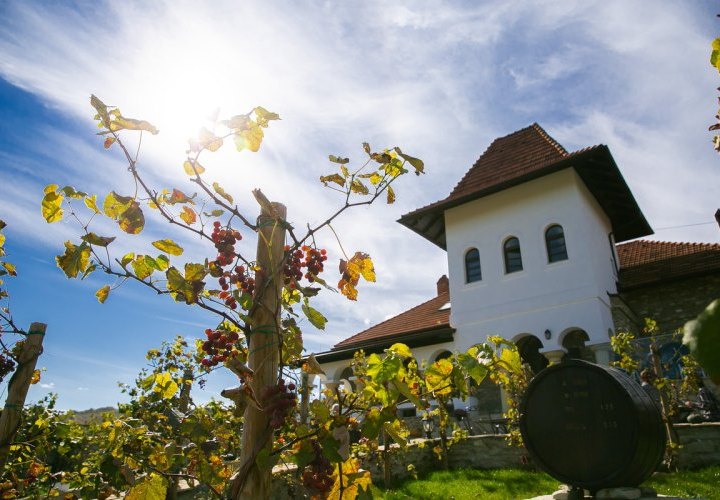 Honey tasting at the Honey Manor and wine tasting at Mircesti winery