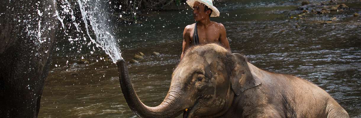 Thailand Adventure Tour Package (Bath with Elephants, Bamboo Rafting)