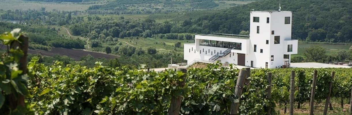 Tour de Vinos y Comida en las bodegas de Moldavia 