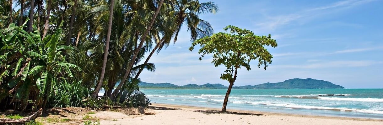 Costa Rica en 15 días: del Caribe (Puerto Viejo) al Pacífico (Playa Tamarindo)